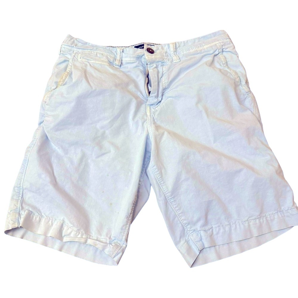 American Eagle Next Level Flex Men’s Shorts. Pale Blue. Size 30. Gently worn.